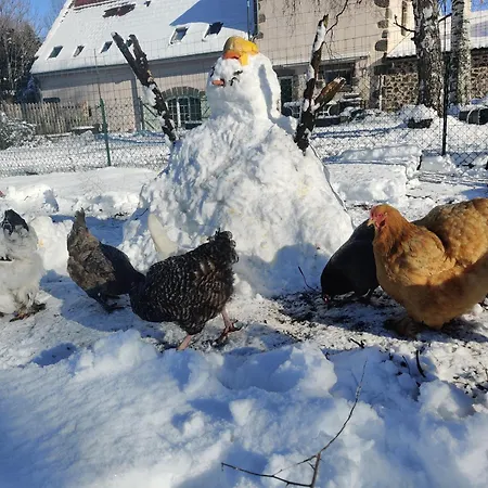 Gæstehus D'hotes A La Ferme *