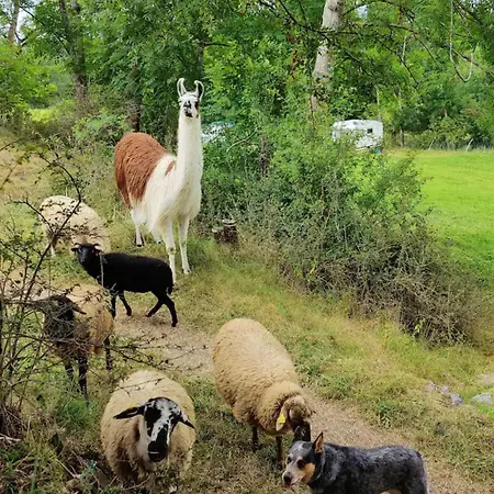 D'hotes A La Ferme Gæstehus Picherande